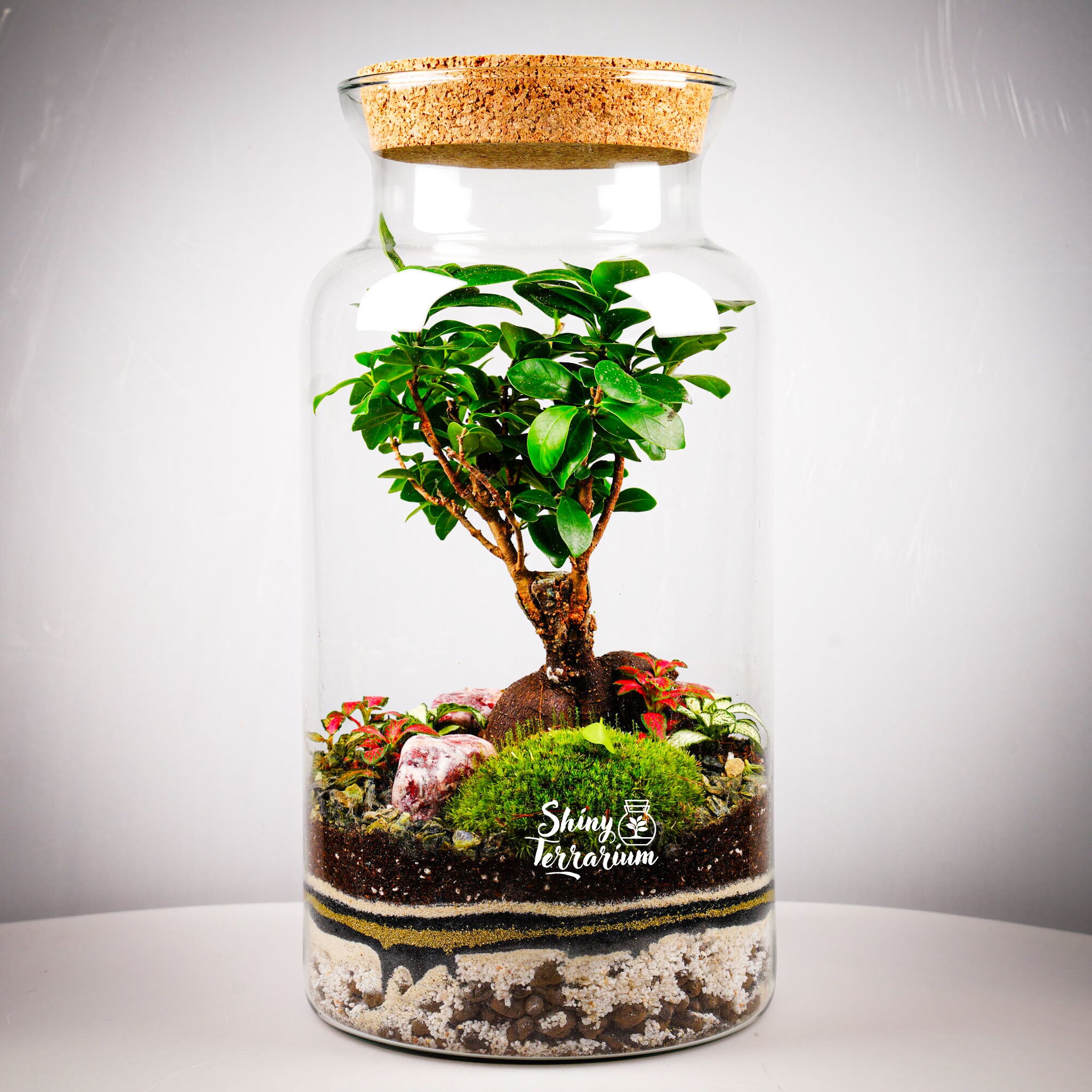 terrarium-ravnovesie-1