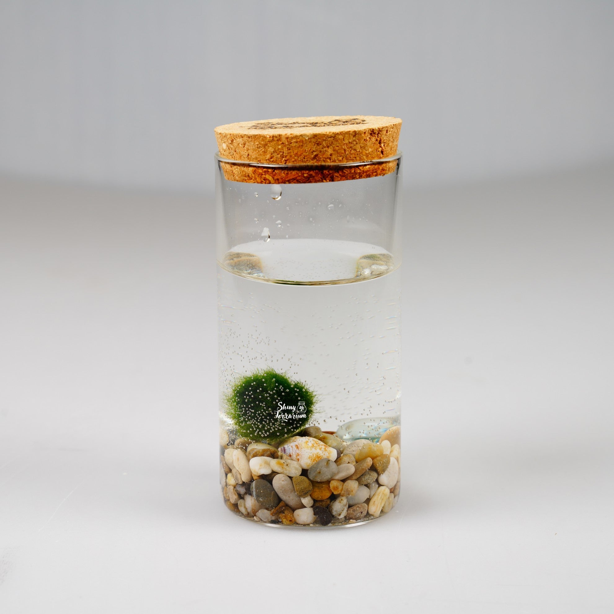 Епруветка - Маримо / Marimo - Shiny Craftshop