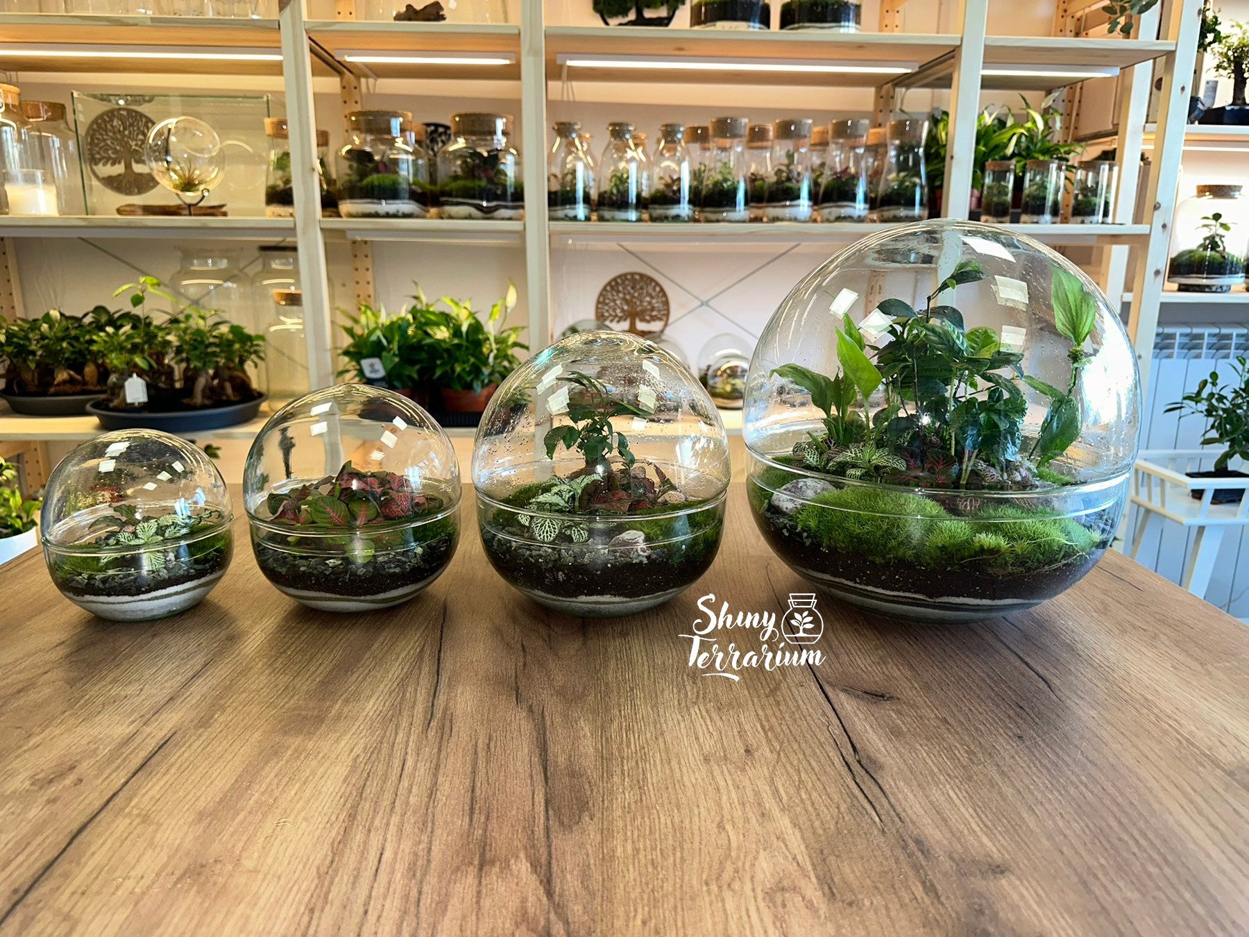 Shiny Terrarium - сфери