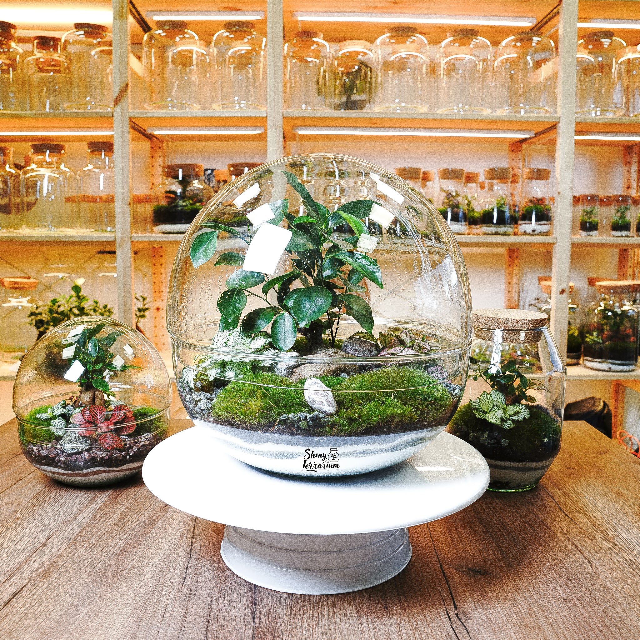 Терариум - Голяма Стъклена Сфера - Shiny Craftshop