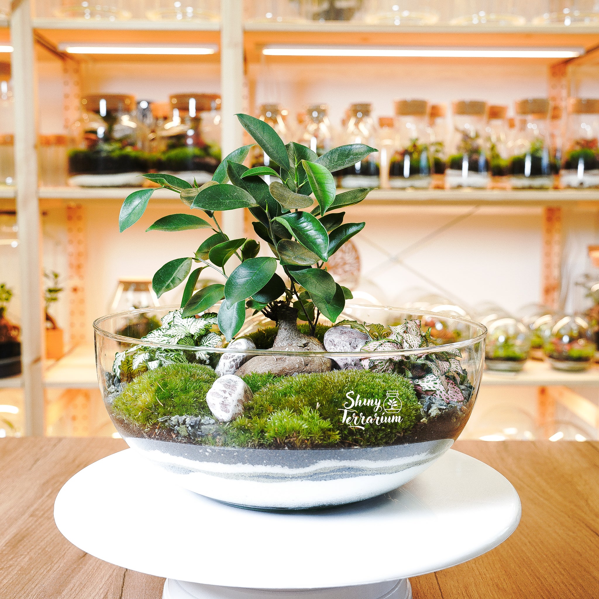 Терариум - Голяма Стъклена Сфера - Shiny Craftshop