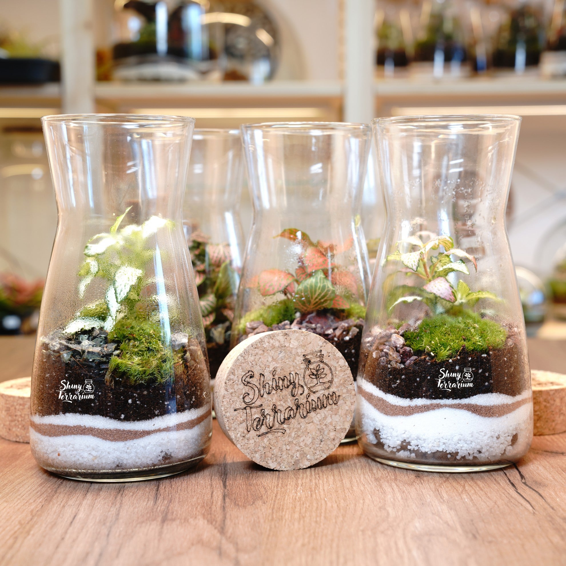 Терариум - Колба - Shiny Craftshop- Shiny Terrarium