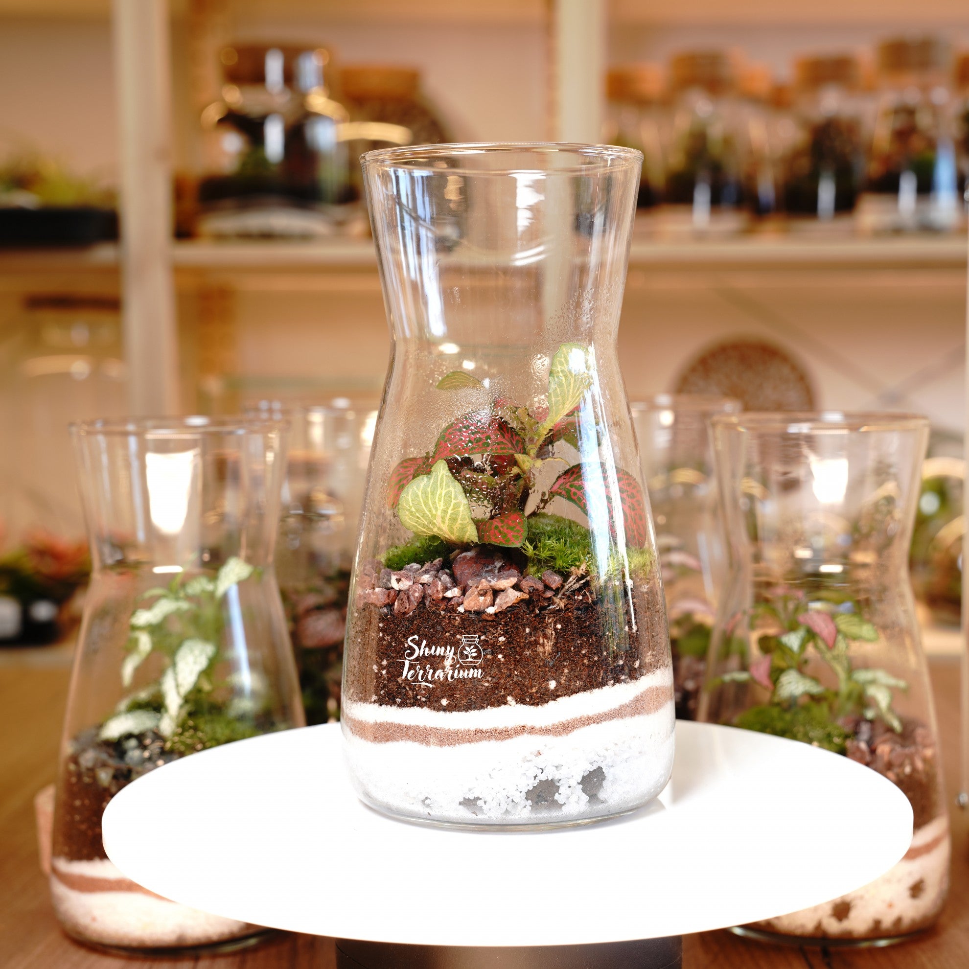 Терариум - Колба - Shiny Craftshop- Shiny Terrarium