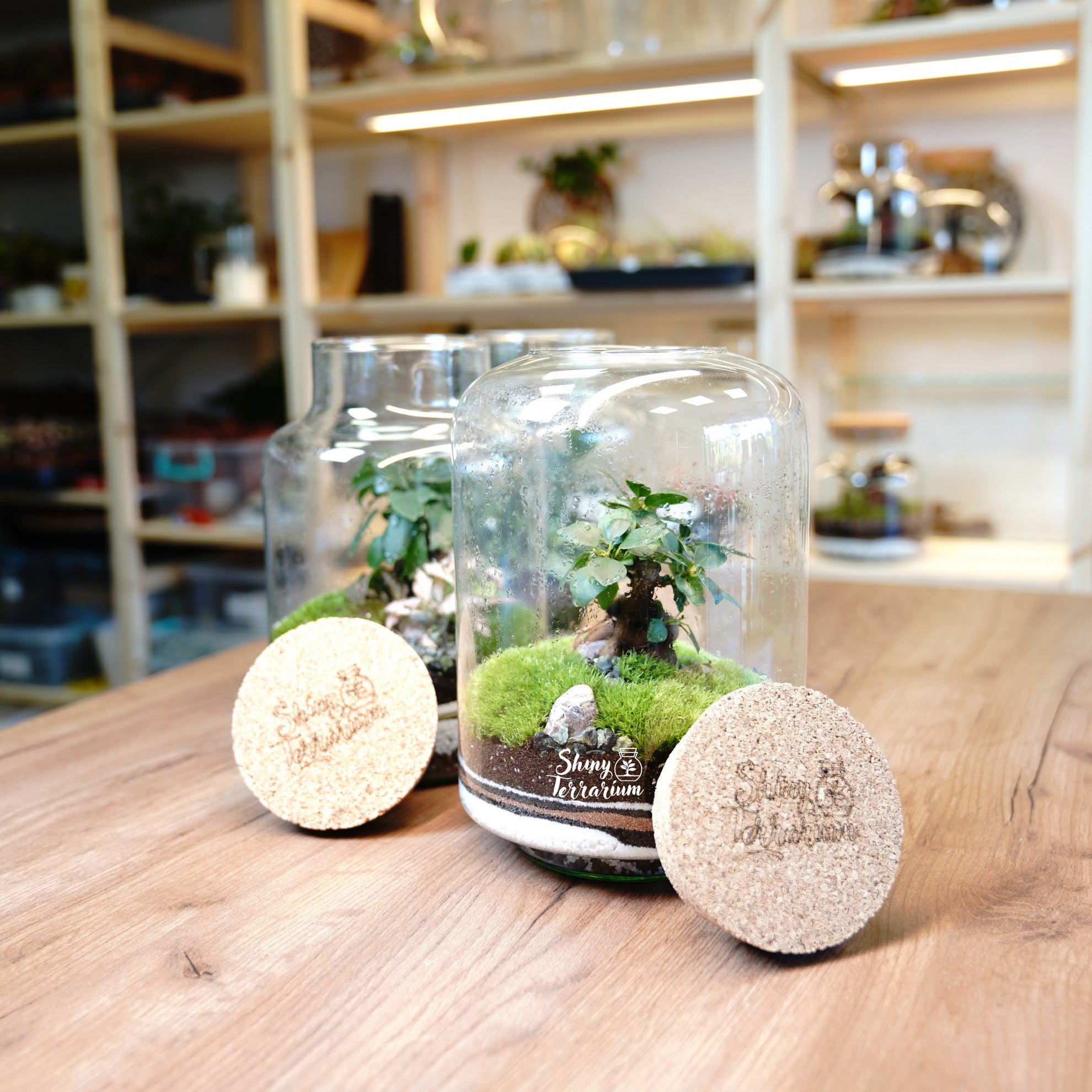 Терариум - Овален Буркан - Shiny Craftshop - Shiny Terrarium
