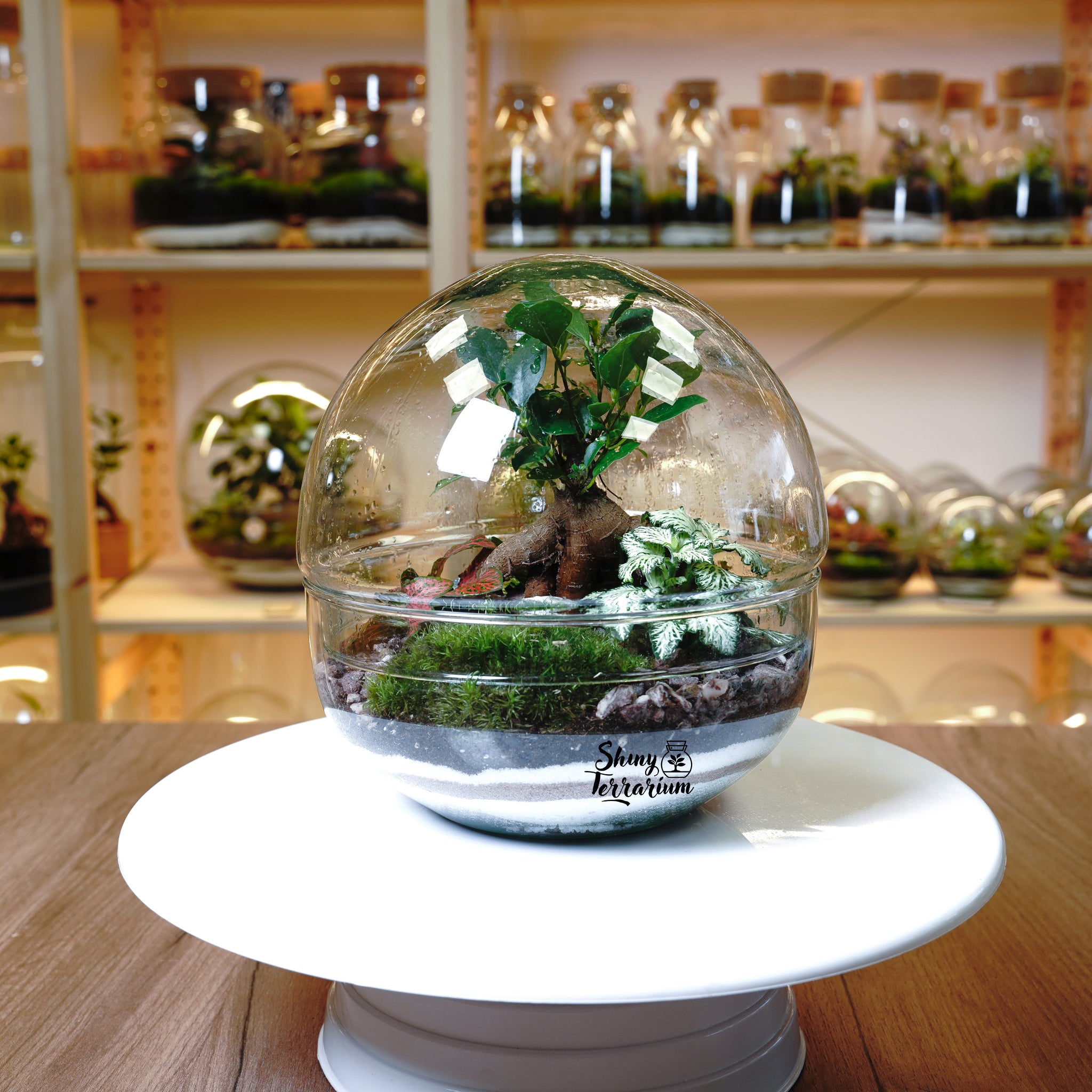 Терариум - Стъклена Сфера - Shiny Craftshop