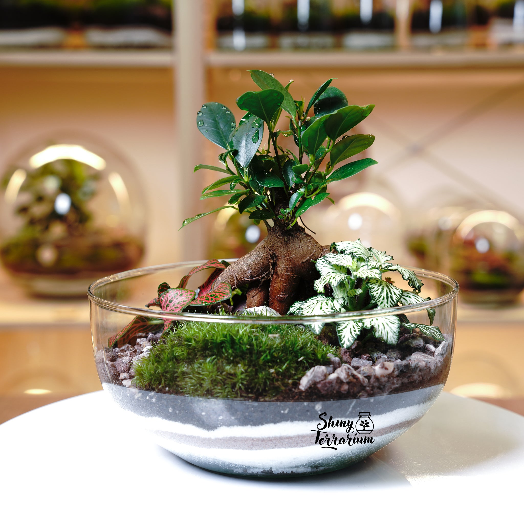 Терариум - Стъклена Сфера - Shiny Craftshop