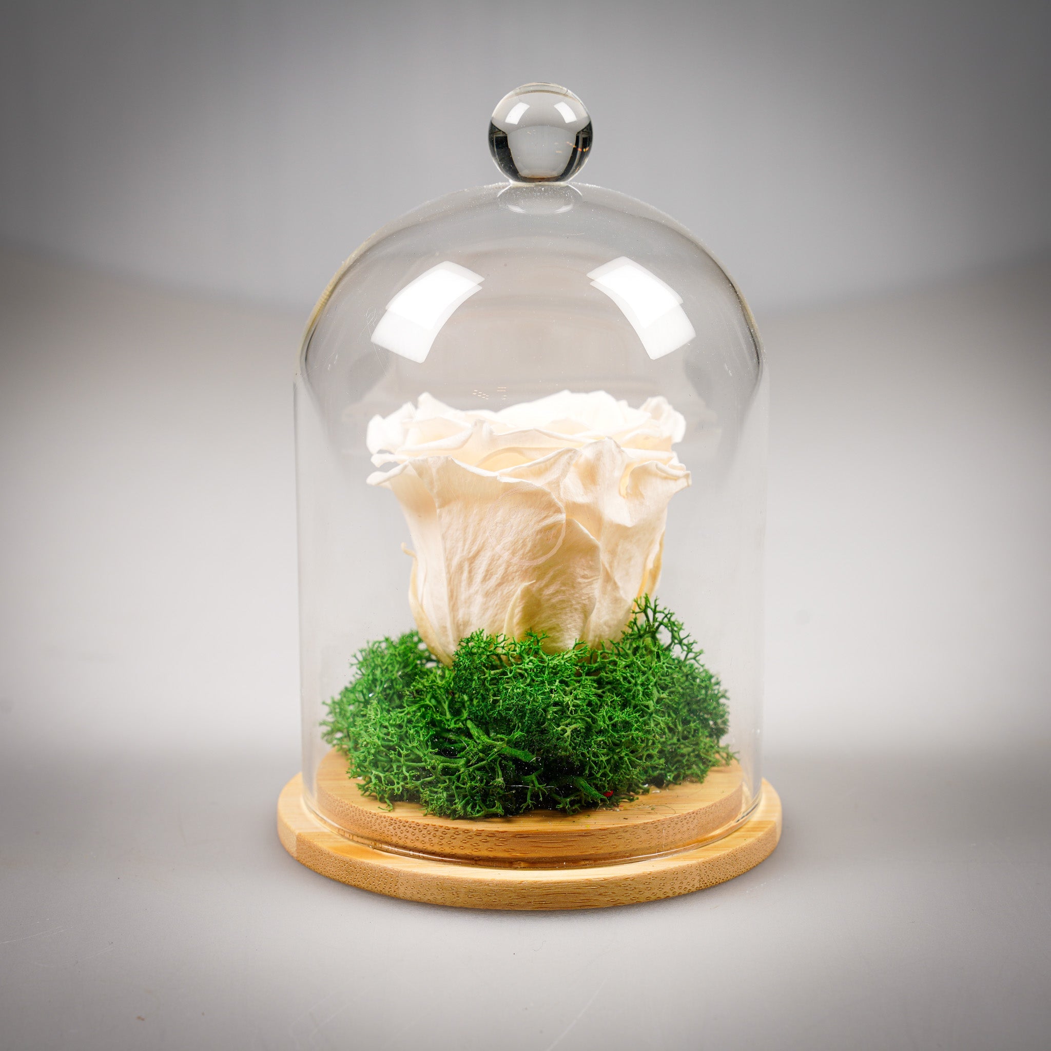 Вечна роза - купол или луксозна кутия - Shiny Craftshop