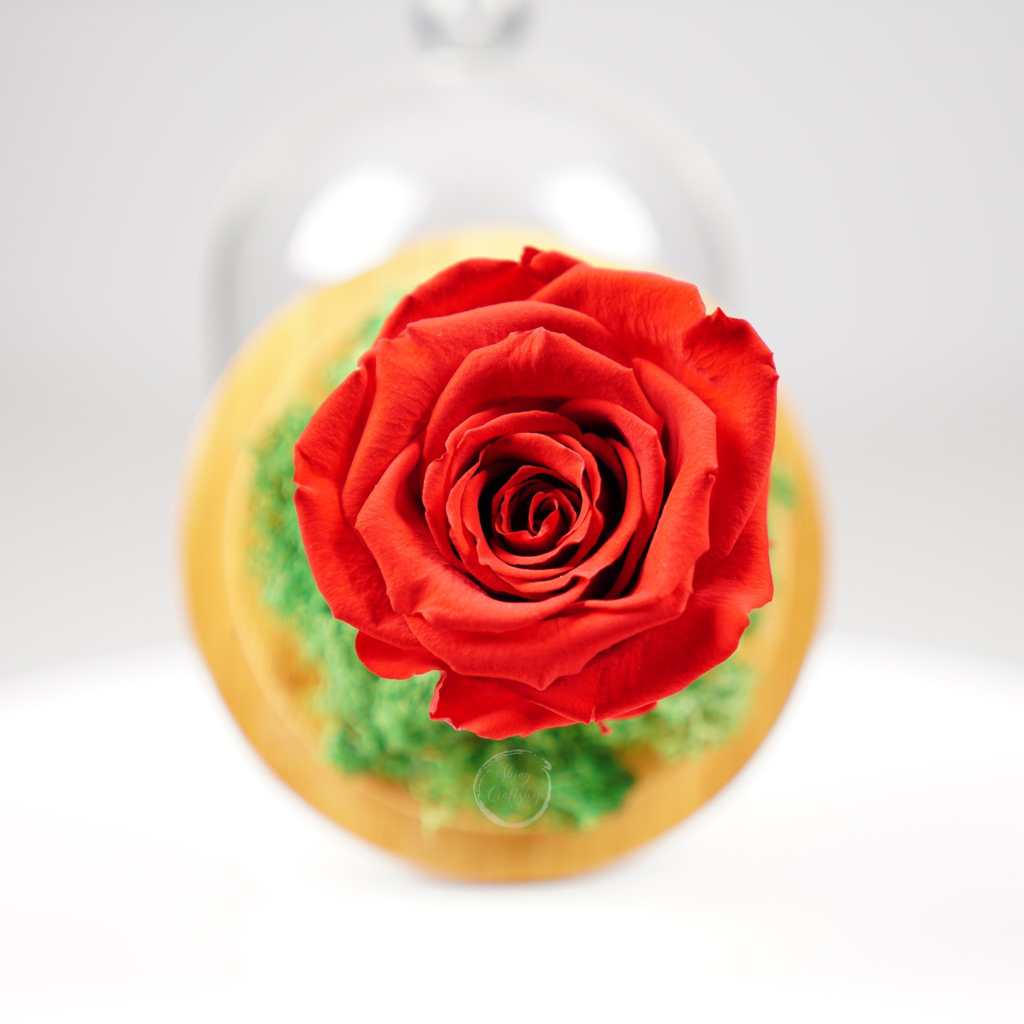 Вечна роза - купол или луксозна кутия - Shiny Craftshop