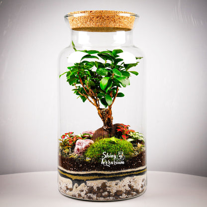 terrarium-ravnovesie-1