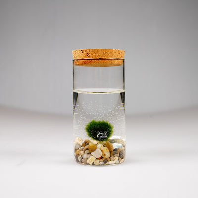 Епруветка - Маримо / Marimo - Shiny Craftshop