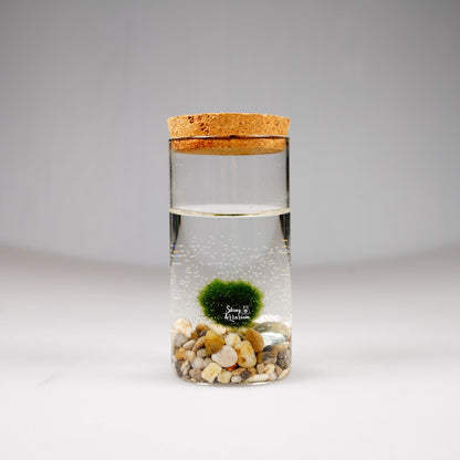 Епруветка - Маримо / Marimo - Shiny Craftshop