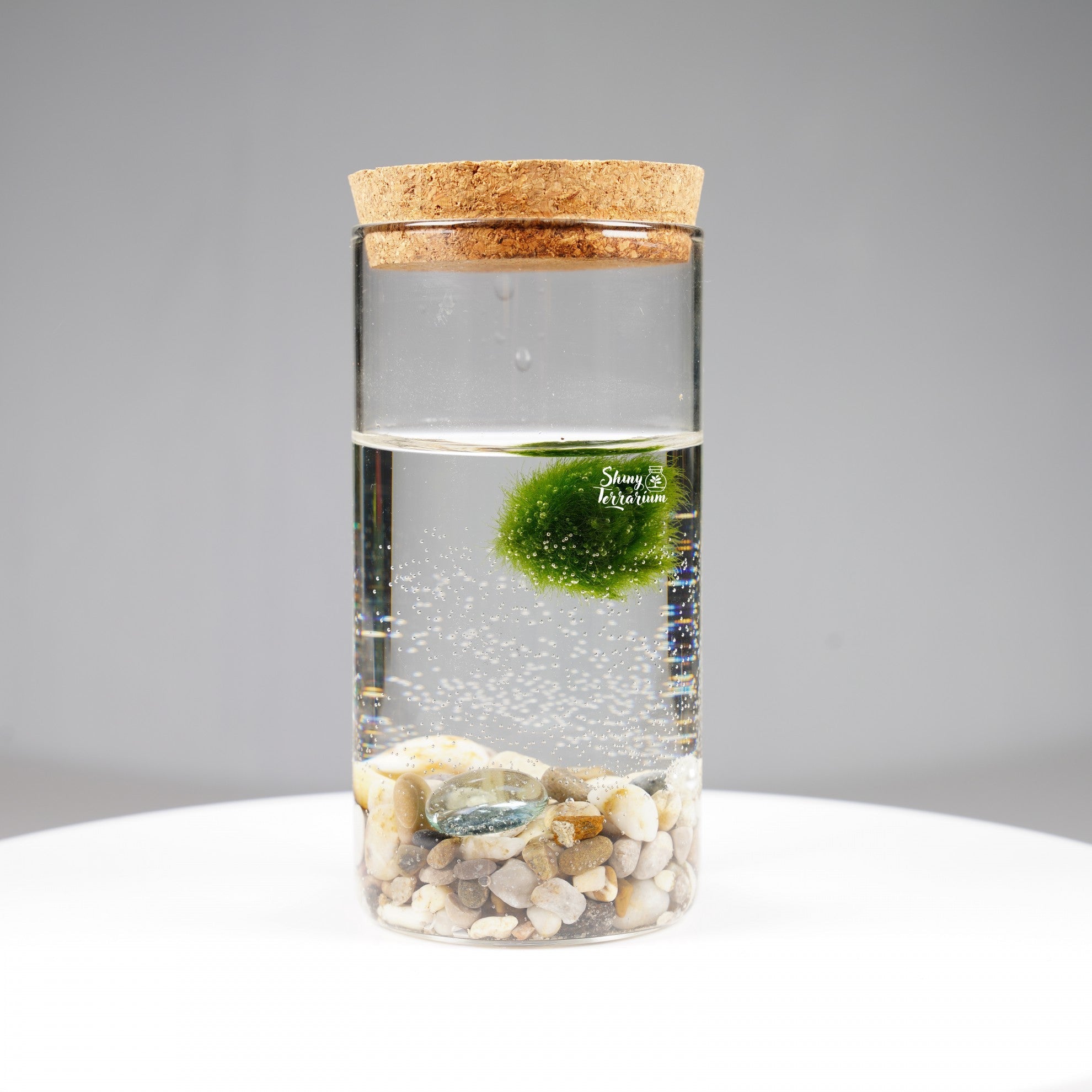 Епруветка - Маримо / Marimo - Shiny Craftshop