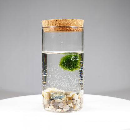 Епруветка - Маримо / Marimo - Shiny Craftshop