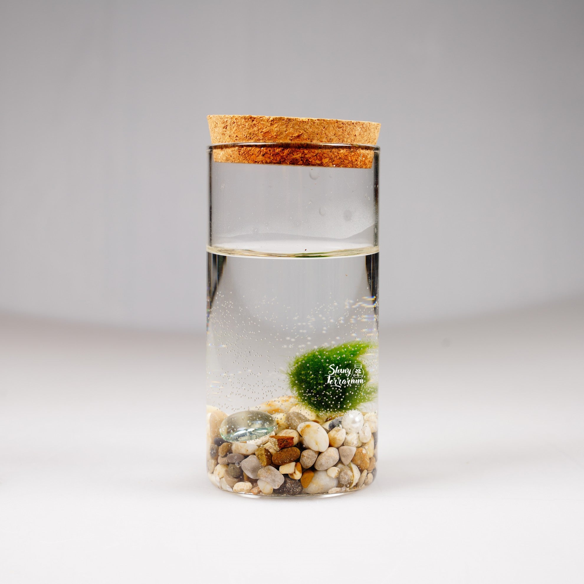Епруветка - Маримо / Marimo - Shiny Craftshop