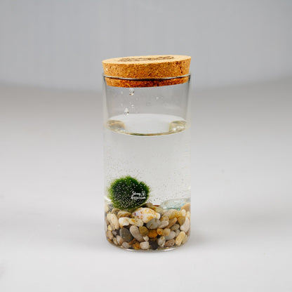 Епруветка - Маримо / Marimo - Shiny Craftshop