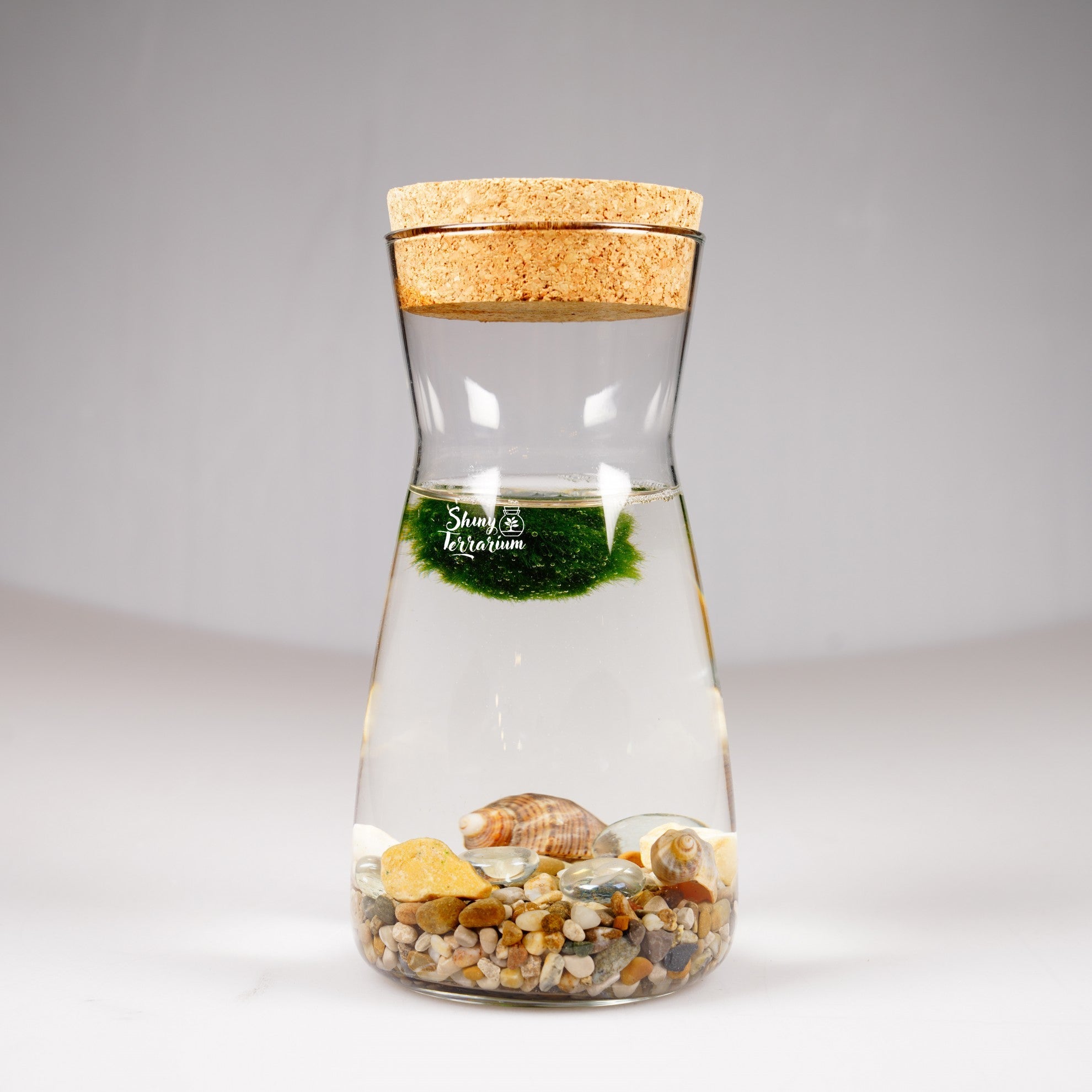 Колба - Маримо / Marimo - Shiny Craftshop