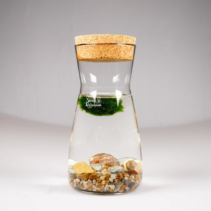 Колба - Маримо / Marimo - Shiny Craftshop