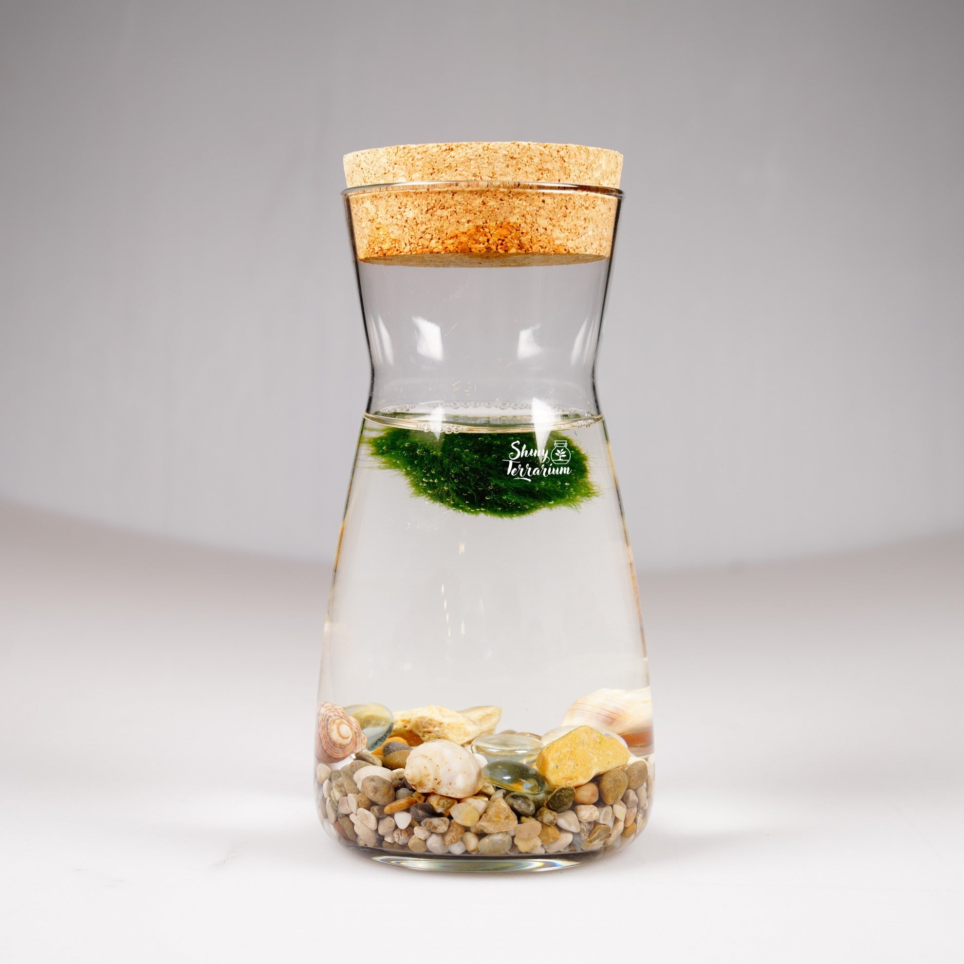 Колба - Маримо / Marimo - Shiny Craftshop