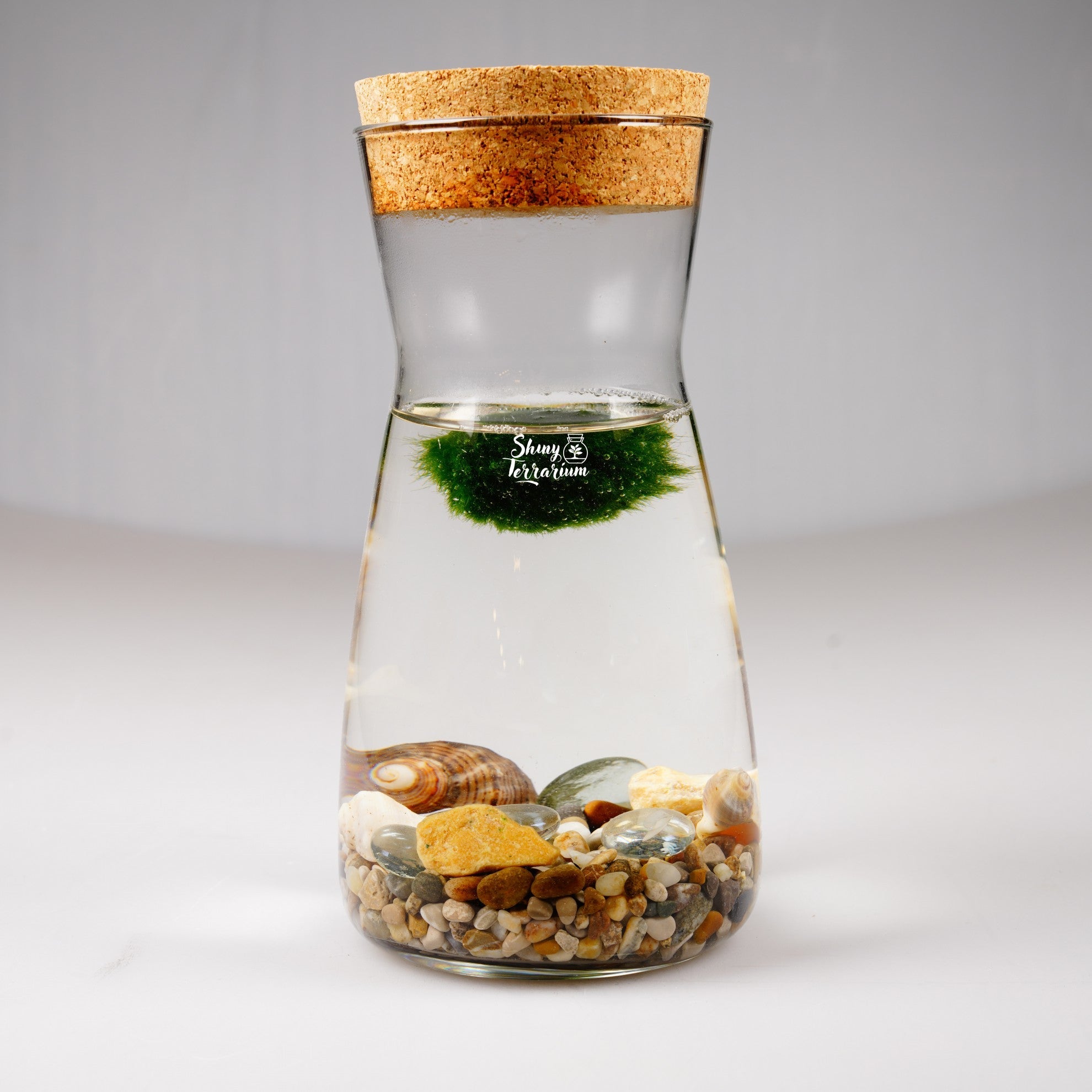 Колба - Маримо / Marimo - Shiny Craftshop