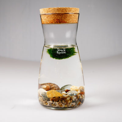 Колба - Маримо / Marimo - Shiny Craftshop