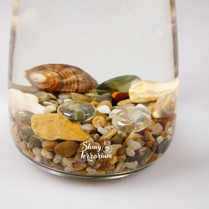 Колба - Маримо / Marimo - Shiny Craftshop