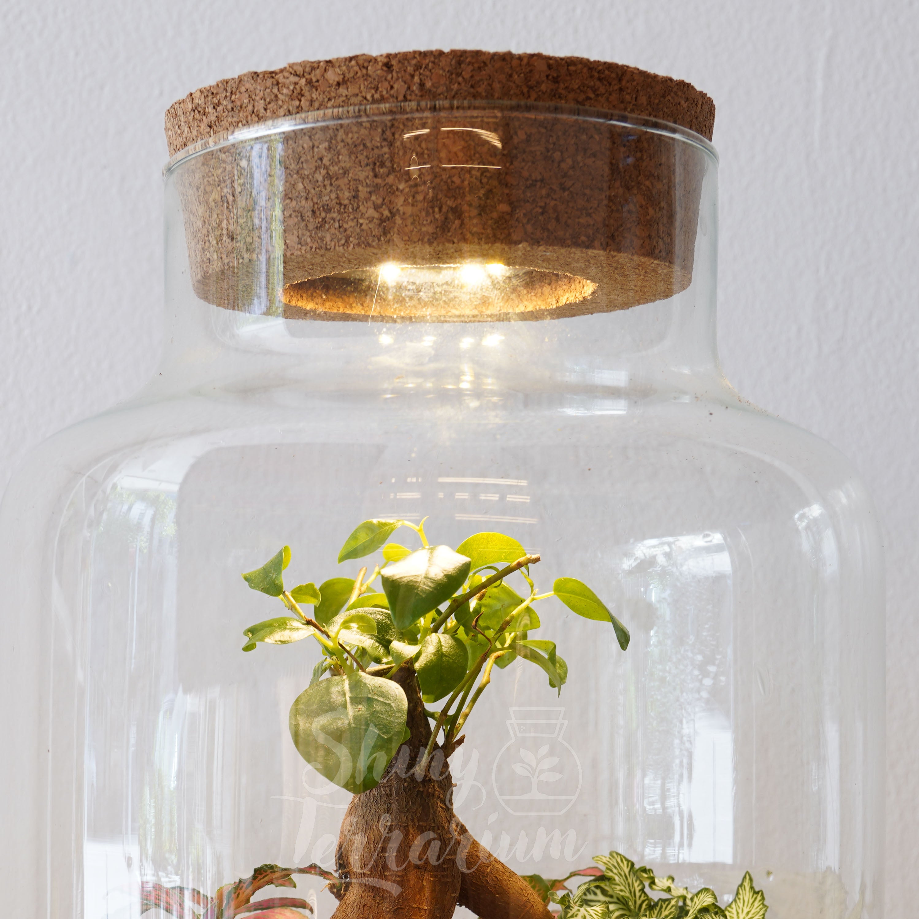 Светещ капак - Shiny Craftshop