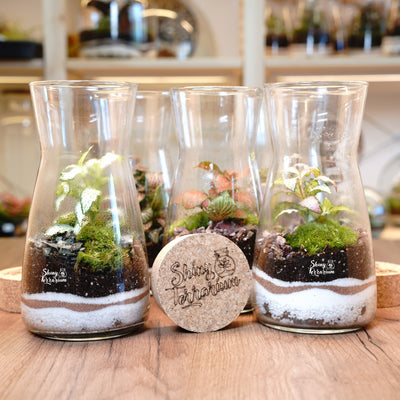 Терариум - Колба - Shiny Craftshop- Shiny Terrarium