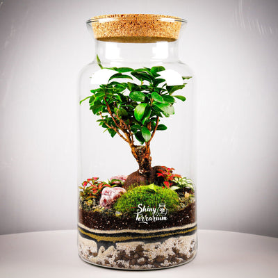 terrarium-ravnovesie-1