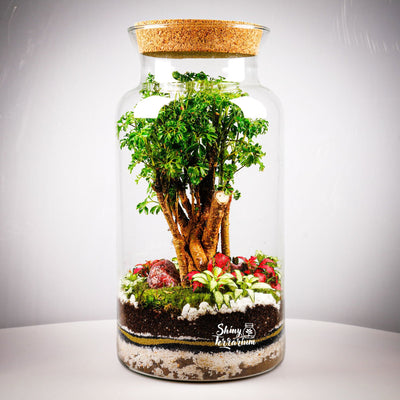 Терариум - Равновесие II - Shiny Craftshop