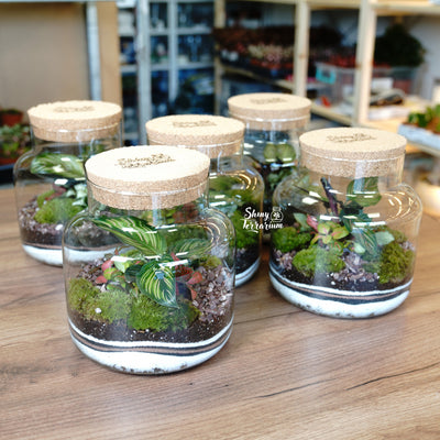 Терариум - Среден Буркан - Shiny Craftshop- Shiny Terrarium
