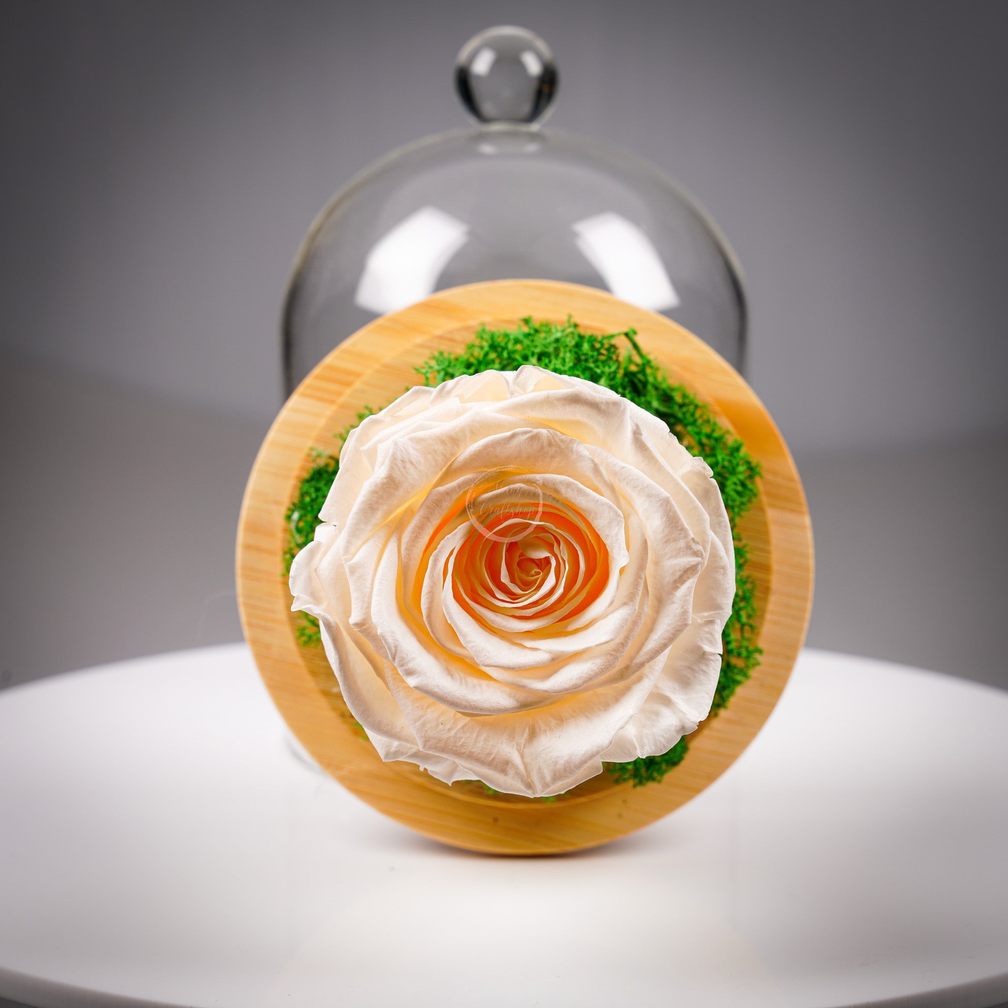 Вечна роза - купол или луксозна кутия - Shiny Craftshop