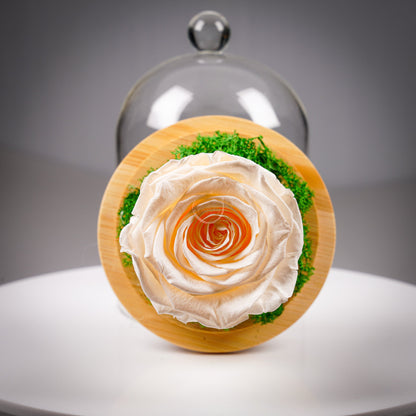 Вечна роза - купол или луксозна кутия - Shiny Craftshop