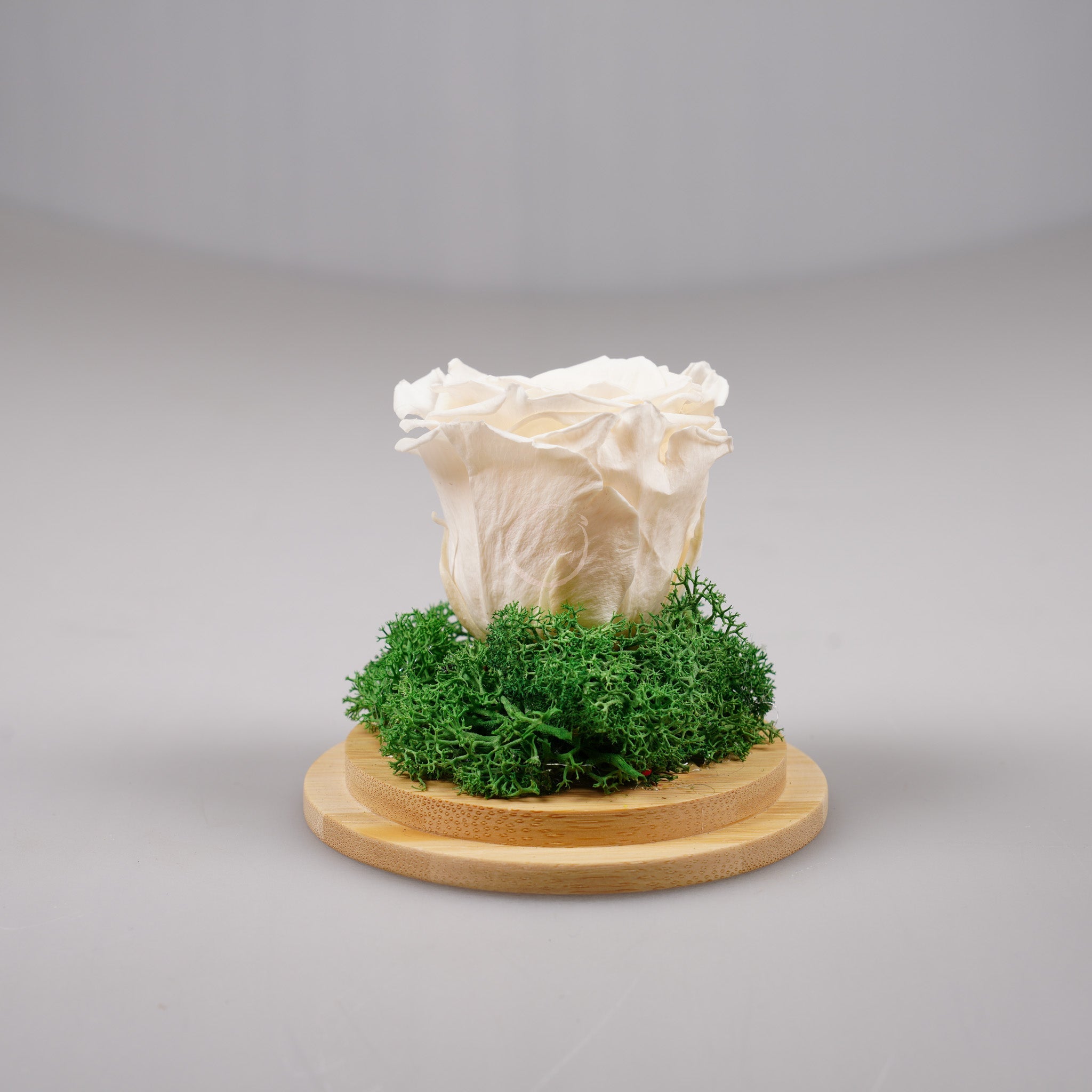 Вечна роза - купол или луксозна кутия - Shiny Craftshop