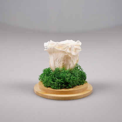 Вечна роза - купол или луксозна кутия - Shiny Craftshop