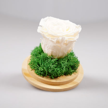 Вечна роза - купол или луксозна кутия - Shiny Craftshop