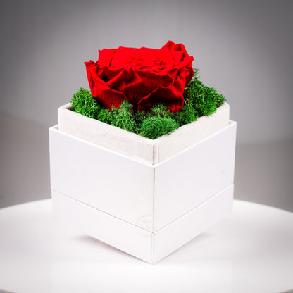 Вечна роза - купол или луксозна кутия - Shiny Craftshop